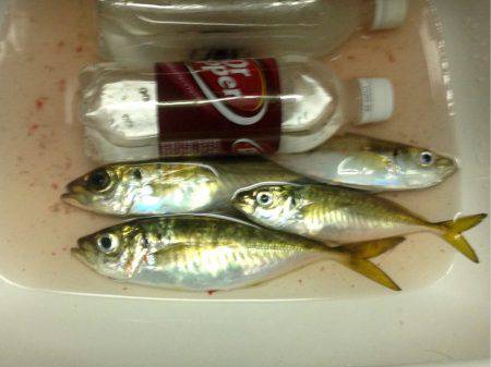 続雨ニモマケズ