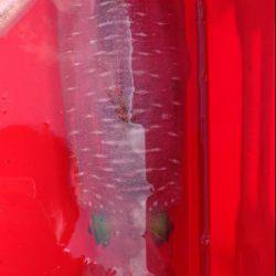 予想外‼︎ビックリな結末