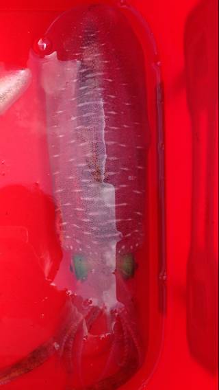 予想外‼︎ビックリな結末