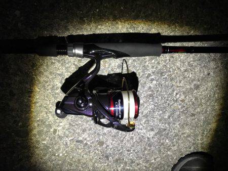 ケンサキイカ 渋い