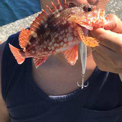 ショアジギ道場