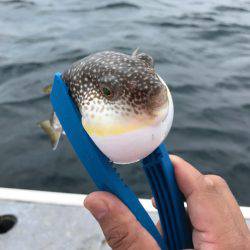 外房、大原漁港から１つテンヤ船