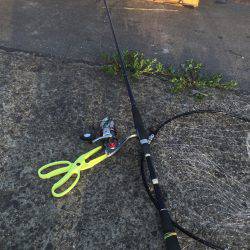 メタルジグに珍客