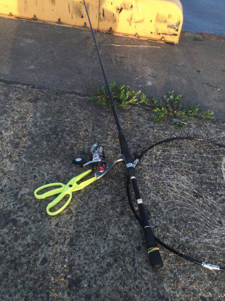 メタルジグに珍客