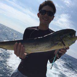 高知県 オフショア