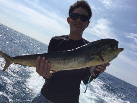 高知県 オフショア