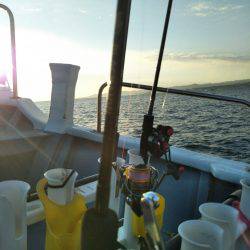 和歌山イカメタル