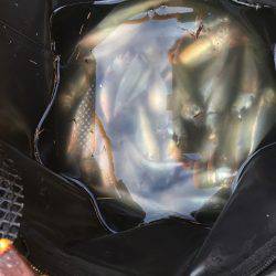 ファミリーフィッシング