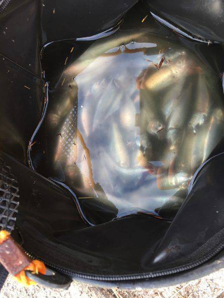 ファミリーフィッシング