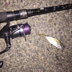 ULSJで短時間釣行