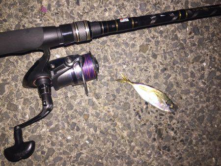 ULSJで短時間釣行