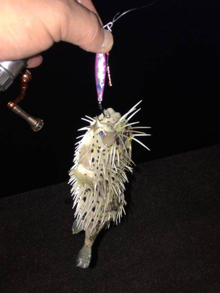 キャンプの合間に魚釣り