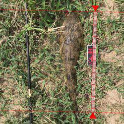 楠サーフDAY下げ