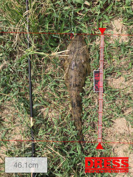 楠サーフDAY下げ