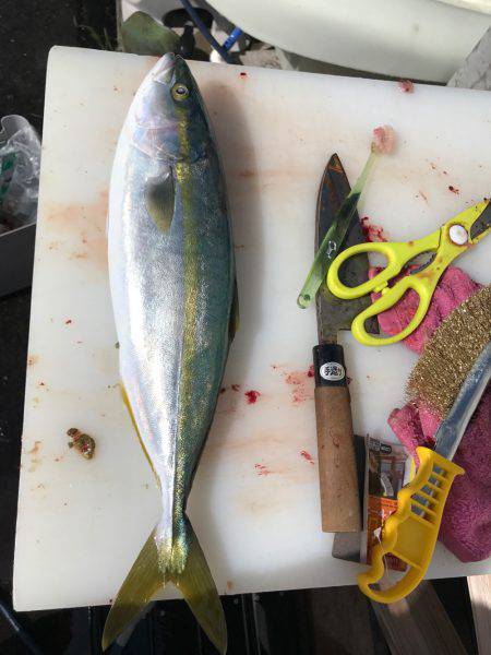 ミツヤ丸 落とし込みサビキ