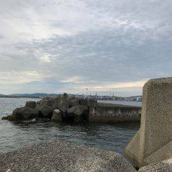 マズメ前からの釣行