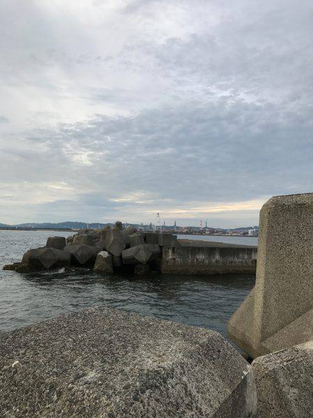 マズメ前からの釣行