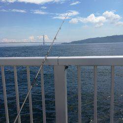 フィーバー前のツバスゲット