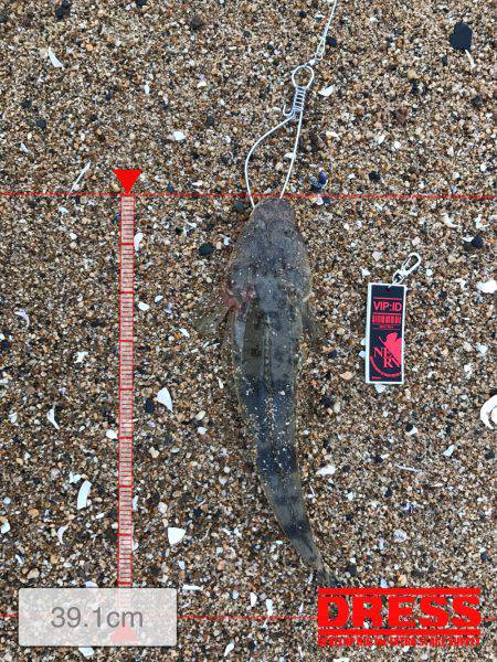 夕まずめにちょろっと楠サーフ