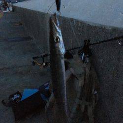 マリーナ大波止