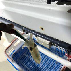 台風明けのイカメタル