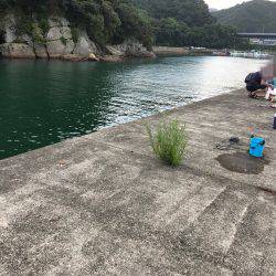 ファミリーフィッシング