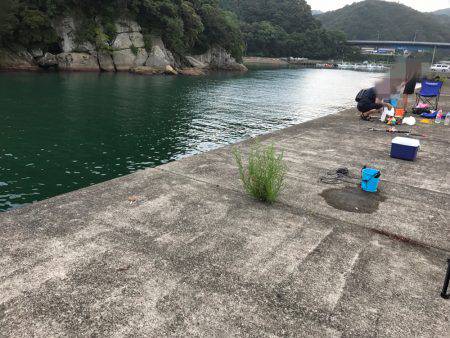 ファミリーフィッシング