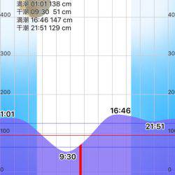 ソウダガツオとチャリコ