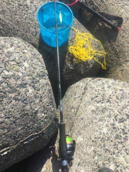 ライトショアジギングでサバ