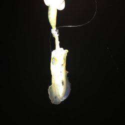 昨日と全然違う