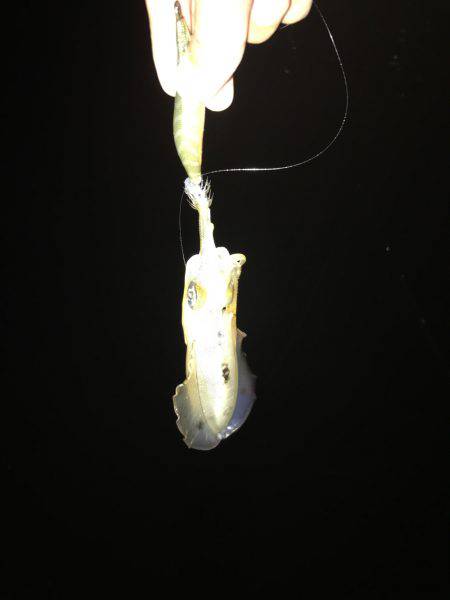 昨日と全然違う