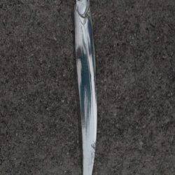 初淡路島でタチウオフィッシュ！津名港