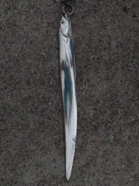 初淡路島でタチウオフィッシュ！津名港