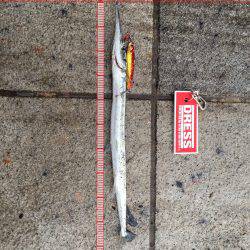 ライトショアジギング