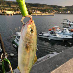 オフショアジギング