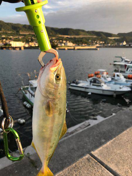 オフショアジギング