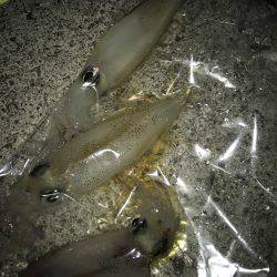 場所移動が正解