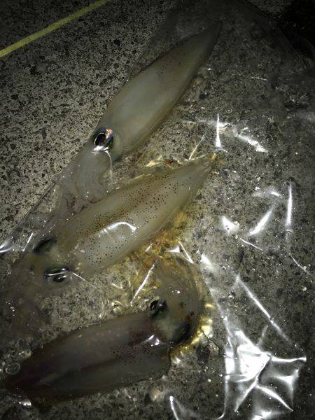 場所移動が正解