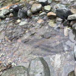 2家族での釣行&バーベキュー