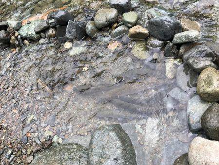 2家族での釣行&バーベキュー