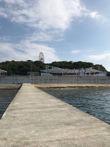 イカ狙いのはずが