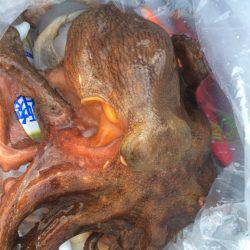 そろそろ終わりかな