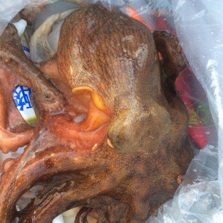 そろそろ終わりかな