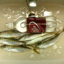 雷神には勝てず