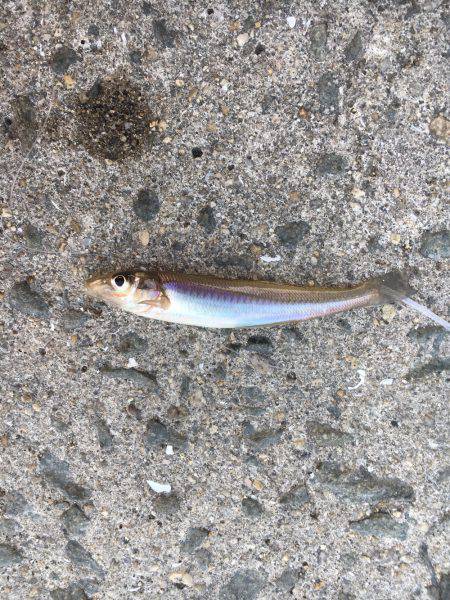 ちょい投げより…