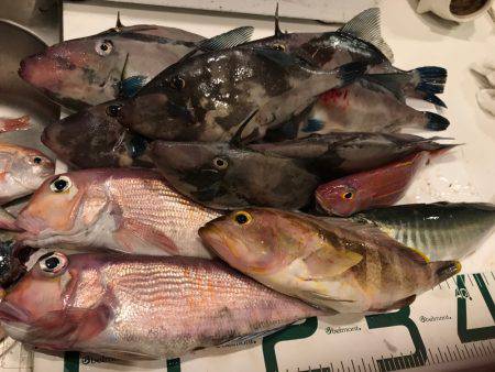 日本海 船エサ五目釣り&ルアー