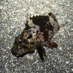 人混みを避ける。