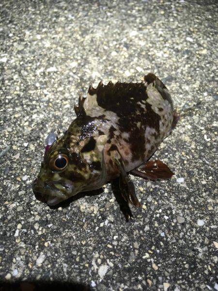 人混みを避ける。