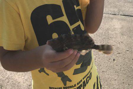 お気軽に五目釣り！