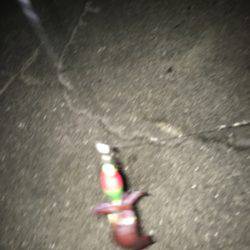 今年初ケンサキゲット